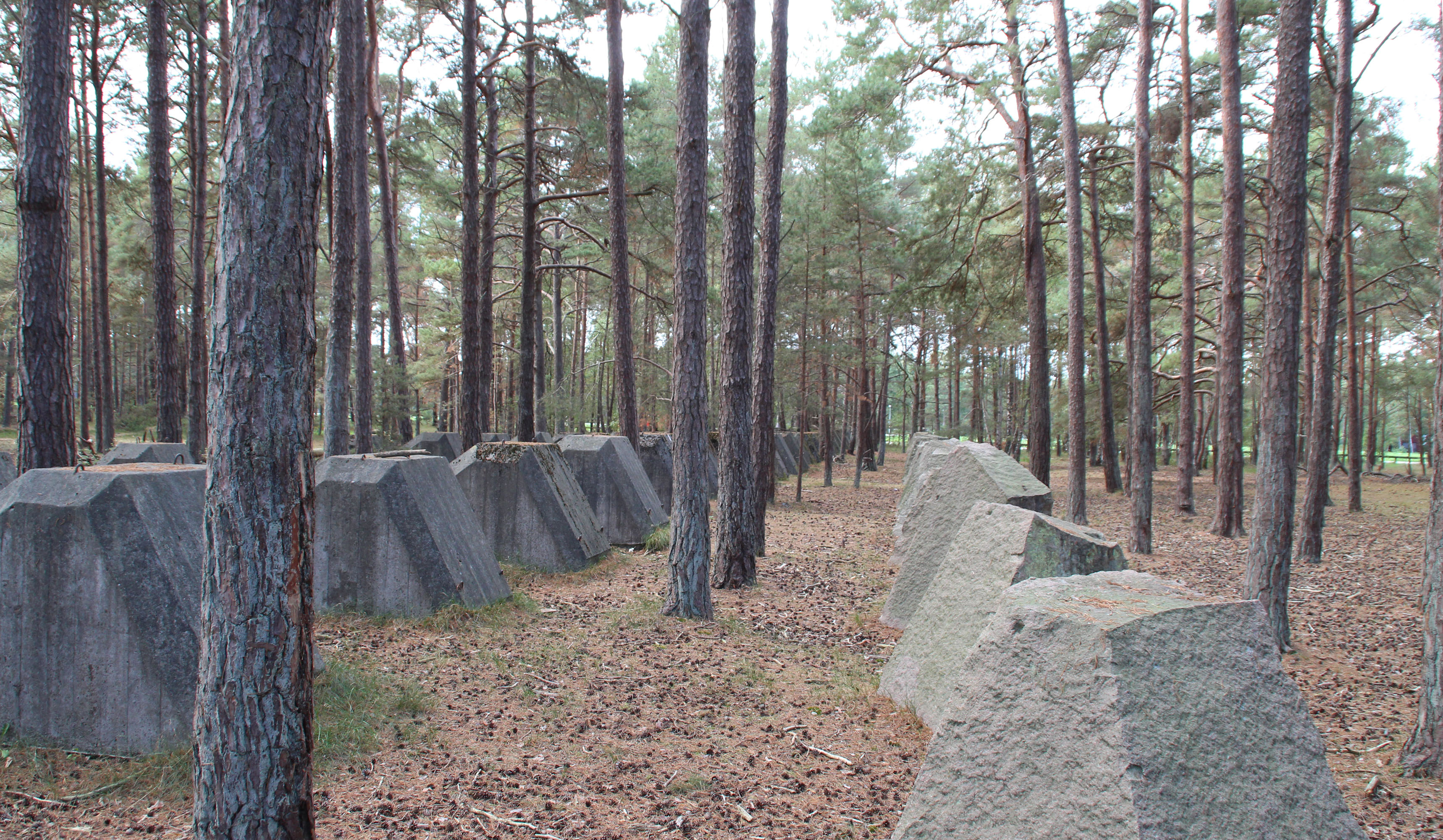 visningar